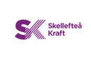 Teckna nu! Skellefteå Kraft Elavtal – Bästa elpriset 2022