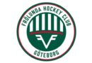Ryan Lasch, en framstående spelare i SHL